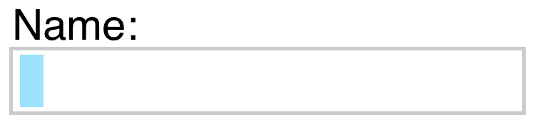 A text input with a light gray border and a light blue caret.
